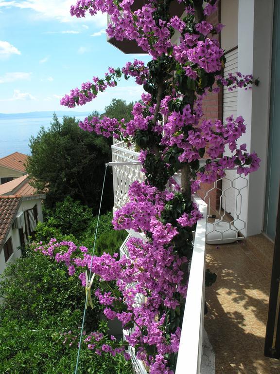 Apartments Dobrila بودغورا المظهر الخارجي الصورة