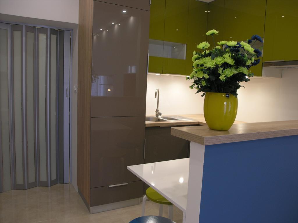 Apartments Dobrila بودغورا المظهر الخارجي الصورة